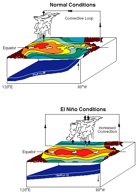 El Nino vs normal conditions